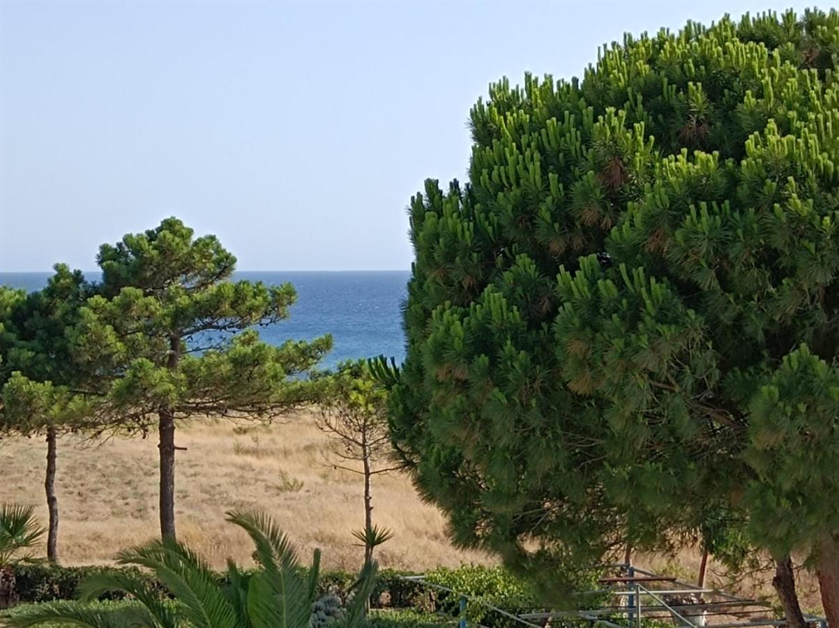 Kipriotis Hotel Arkoudi Extérieur photo
